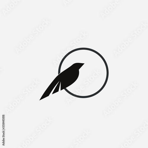 vector illustration of a bird raven templet
