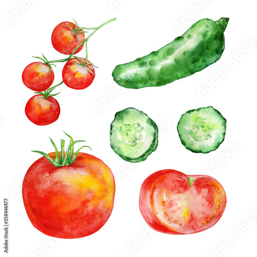 Fototapeta Naklejka Na Ścianę i Meble -  watercolor set of vegetables