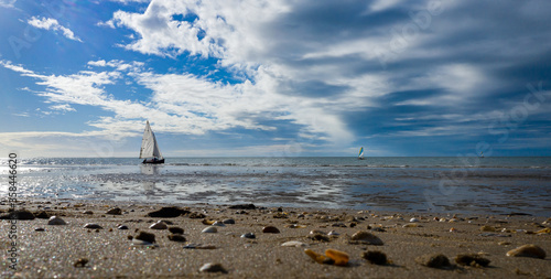 Fototapeta Naklejka Na Ścianę i Meble -  Small sailing boat on the shore at Rodds Bay at low tide, near Turkey Beach, Queensland