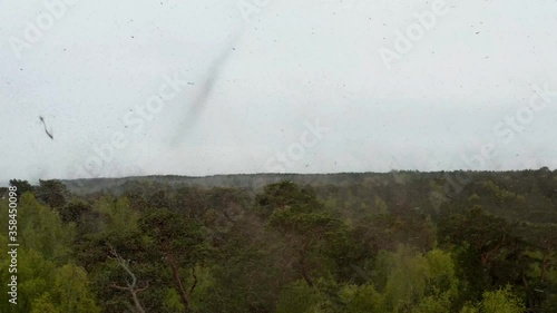 Rare Aerial, drone image of huge mosquitoes swarm over the forest photo