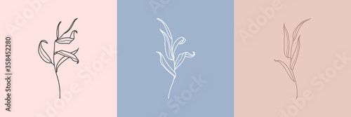 Set of Willow branch with leaves in a trendy minimalistic style. Outline of a botanical design elements. Floral vector