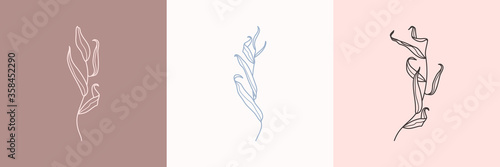 Set of Willow branch with leaves in a trendy minimalistic style. Outline of a botanical design elements. Floral vector