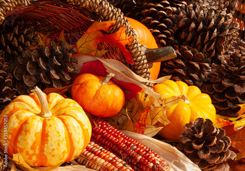 The colors and textures of Fall / Autumn. Get ready for the holidays