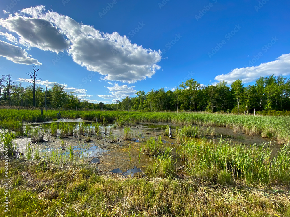 Beautiful Sky and Clouds Overlooking a Pond Beautiful Sky and Clouds Overlooking a Pond