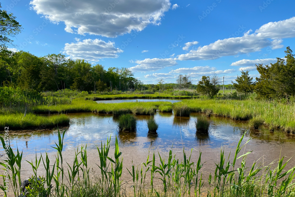 Beautiful Sky and Clouds Overlooking a Pond