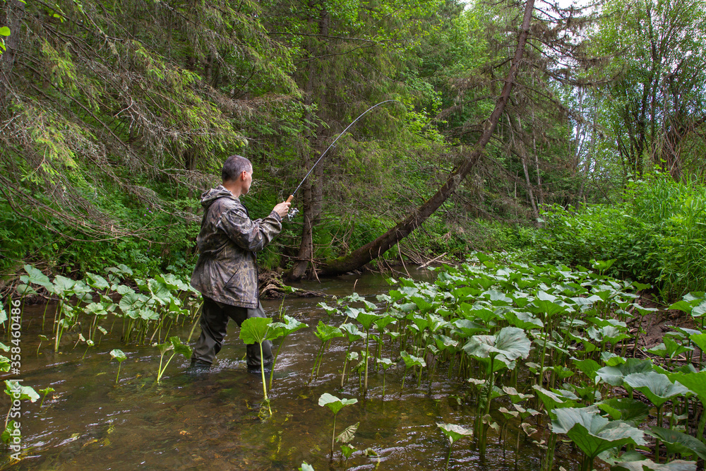 fisherman with a spinning rod pulls out fish on a small forest river fisherman with a spinning rod pulls out fish on a small forest river