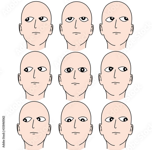 all directions of eye movement regarding to third, forth and sixth cranial nerves functions. photo