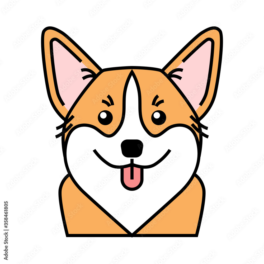 Cute welsh corgi dog