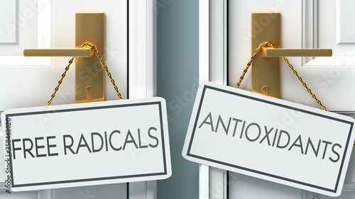 Free radicals and antioxidants as a choice, pictured as words Free radicals, antioxidants on doors to show that these are opposite options while making decision, 3d illustration