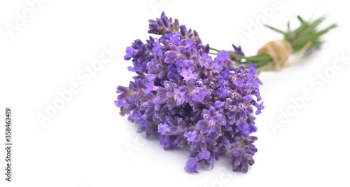 little bouquet of lavender flowers isolated on white background