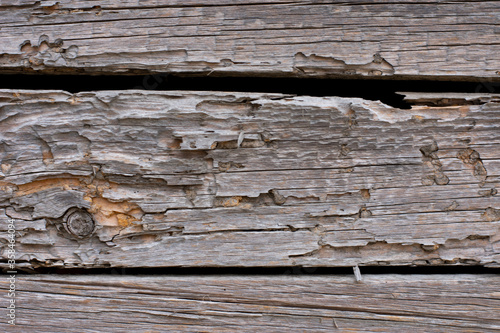 Old wood texture background. Old fence.