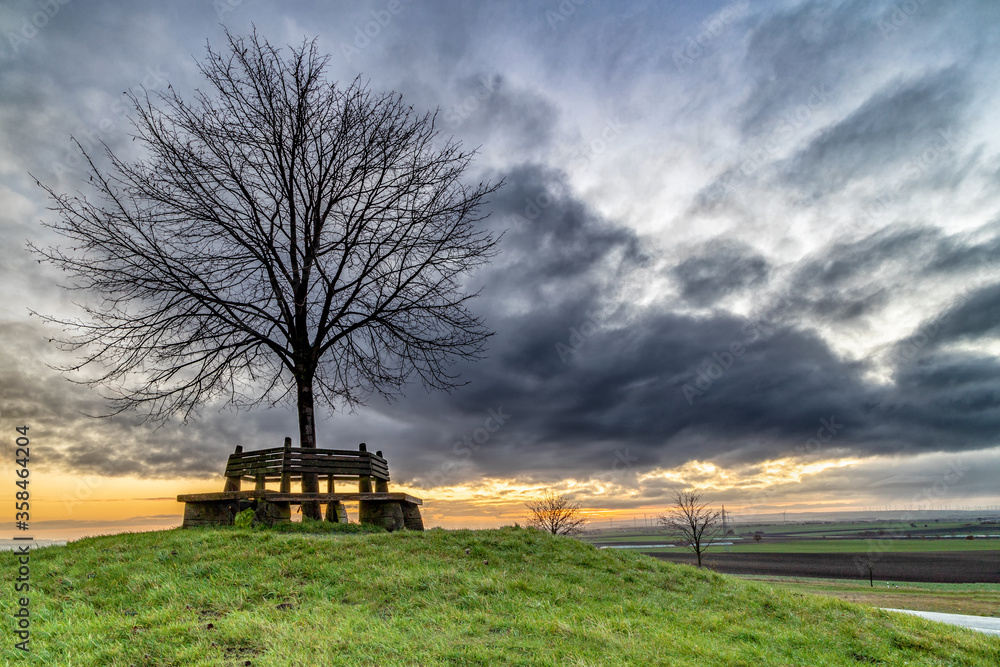 Obraz premium Baum auf einem Hügel bei Sonnenaufgang 