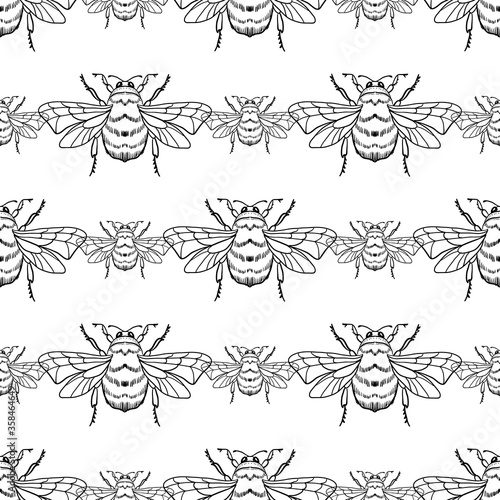 Vector seamless pattern with honey bee on a white background. Bumblebee  beehive.