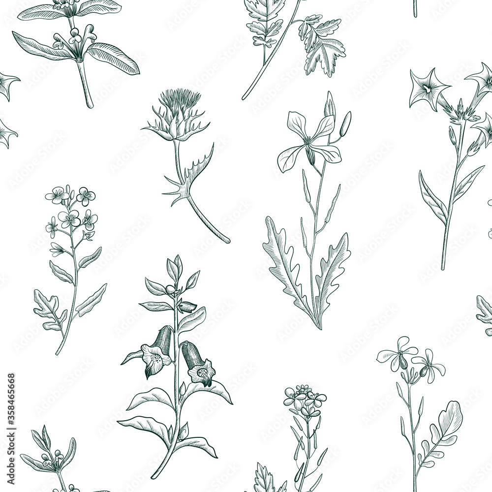 seamless pattern with drawing herbs and flowers seamless pattern with drawing herbs and flowers