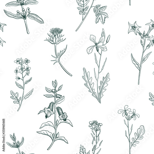 seamless pattern with drawing herbs and flowers
