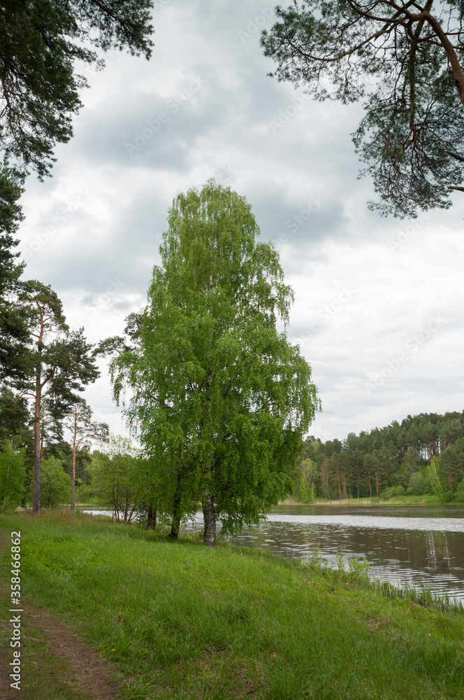 Obraz premium Spring landscape