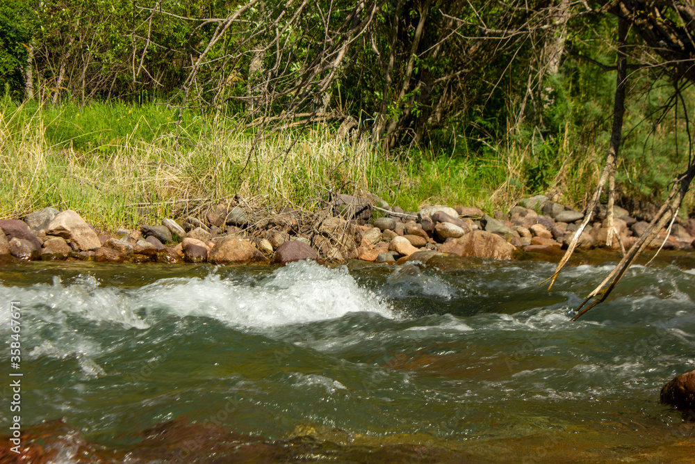 Fototapeta premium river