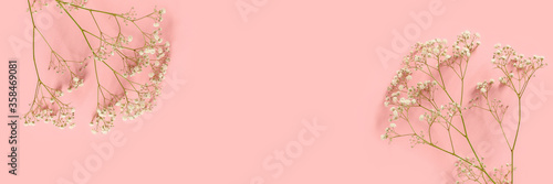 Banner with gypsophila flowers on a pink pastel background.