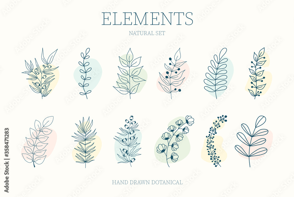 Vector set of nerd elements with circles of different colors on an isolated background. Tropical plants, leaves and branches with flowers. Hand drawn style. For printing on fabric and clothing, Vector set of nerd elements with circles of different colors on an isolated background. Tropical plants, leaves and branches with flowers. Hand drawn style. For printing on fabric and clothing,