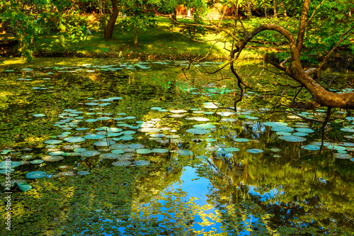 The gardens of Sigiriya  Sri Lanka. UNESCO World Heritage Site