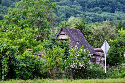 summer mountain house in blooming trees