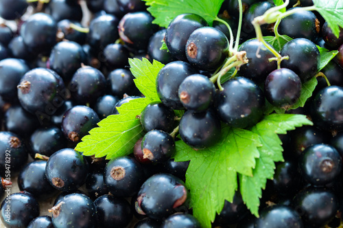 Fotografia fresh blackcurrant berries close-up
