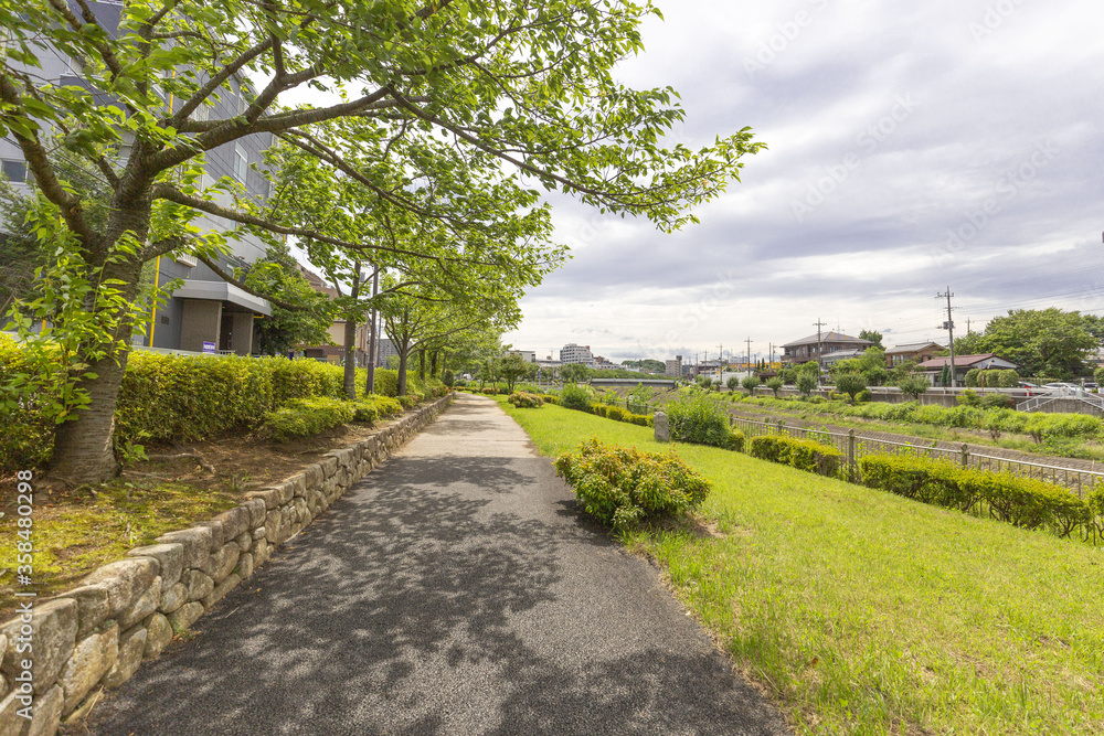 歩きたくなる遊歩道