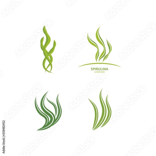 Spirulina seaweed leaf logo illustration