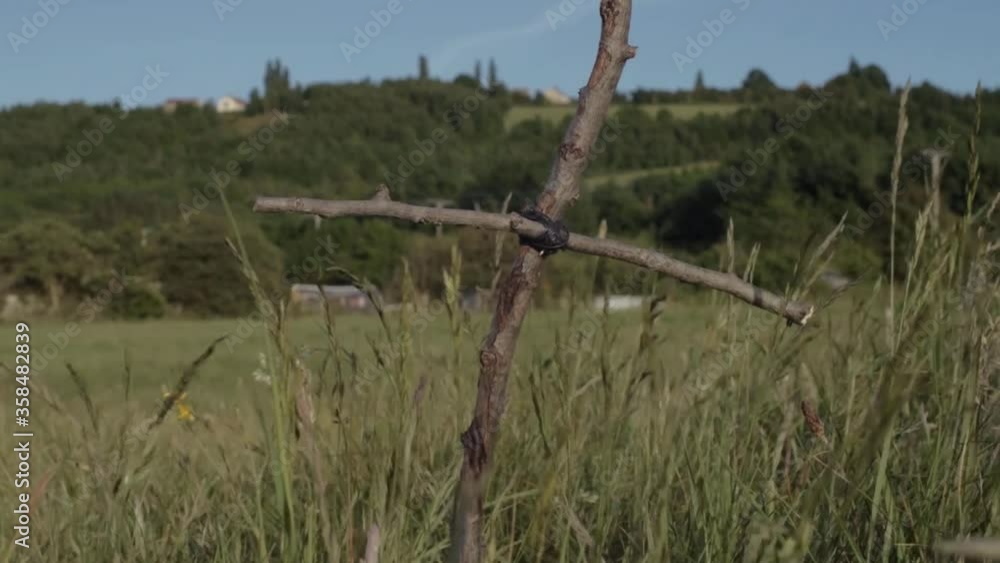 Handmade wooden cross in a field wide tilting shot Handmade wooden cross in a field wide tilting shot
