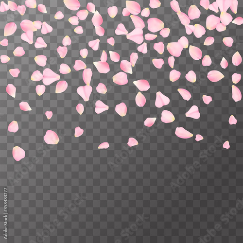 Abstract romanic background with flying Pink rose, cherry or sakura petals petals isolated on a transparent background. Flying pink petals mock up. Vector illustration. EPS 10.