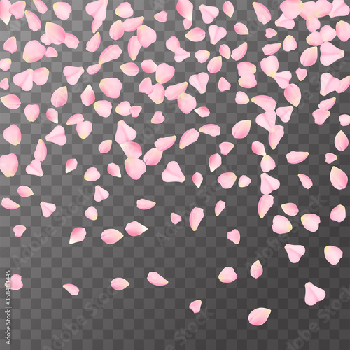 Abstract romanic background with flying Pink rose, cherry or sakura petals petals isolated on a transparent background. Flying pink petals mock up. Vector illustration. EPS 10.