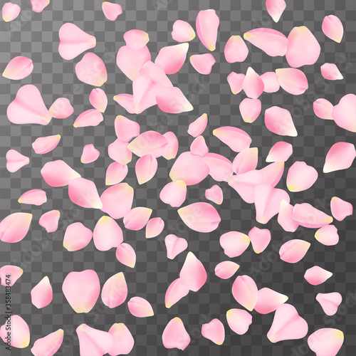 Abstract romanic background with flying Pink rose, cherry or sakura petals petals on a dark transparent background. Vector illustration. EPS 10.