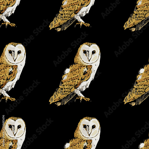 Seamless repeating animal pattern with barn owls. Tyto alba. Hand drawn colorful sketch.