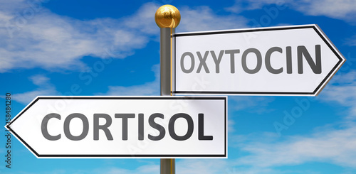 Cortisol and oxytocin as different choices in life - pictured as words Cortisol, oxytocin on road signs pointing at opposite ways to show that these are alternative options., 3d illustration photo