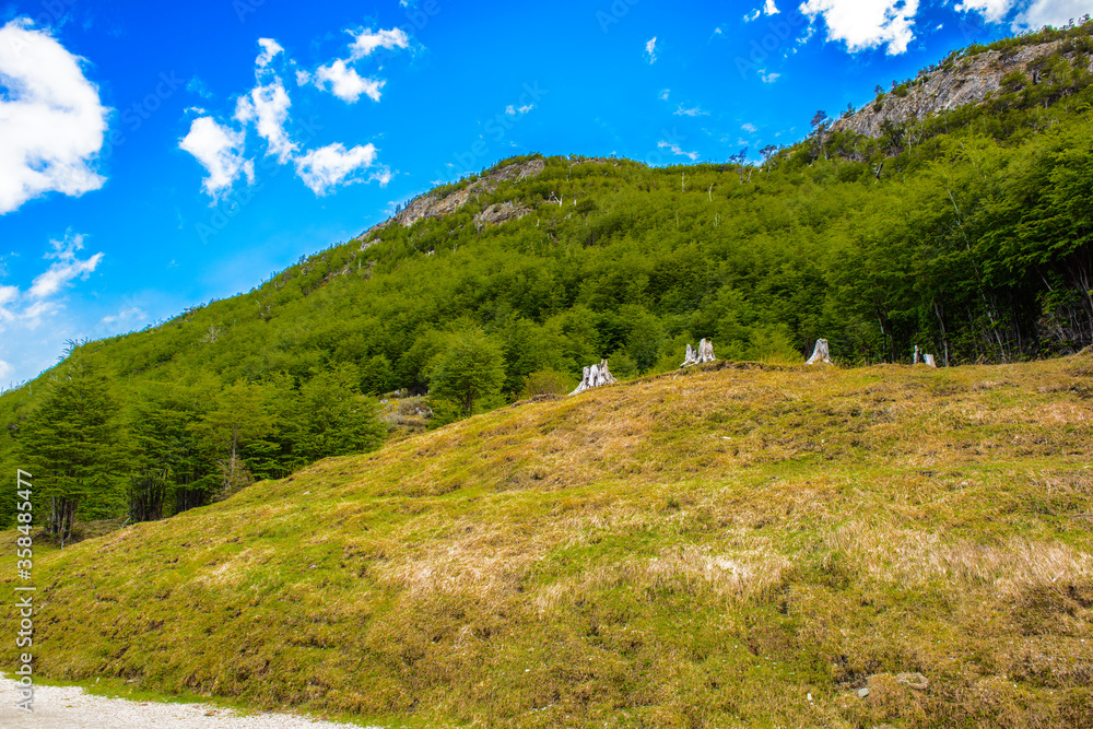 Naklejka premium It's Nature of Argentina