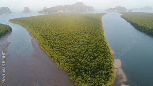 Aerial view mangrove forest on a tropical island ocean, rivers, mountains in Thailand.
