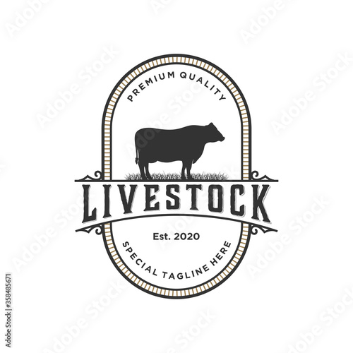 livestock logo concept, cattle, angus, farm vintage design template