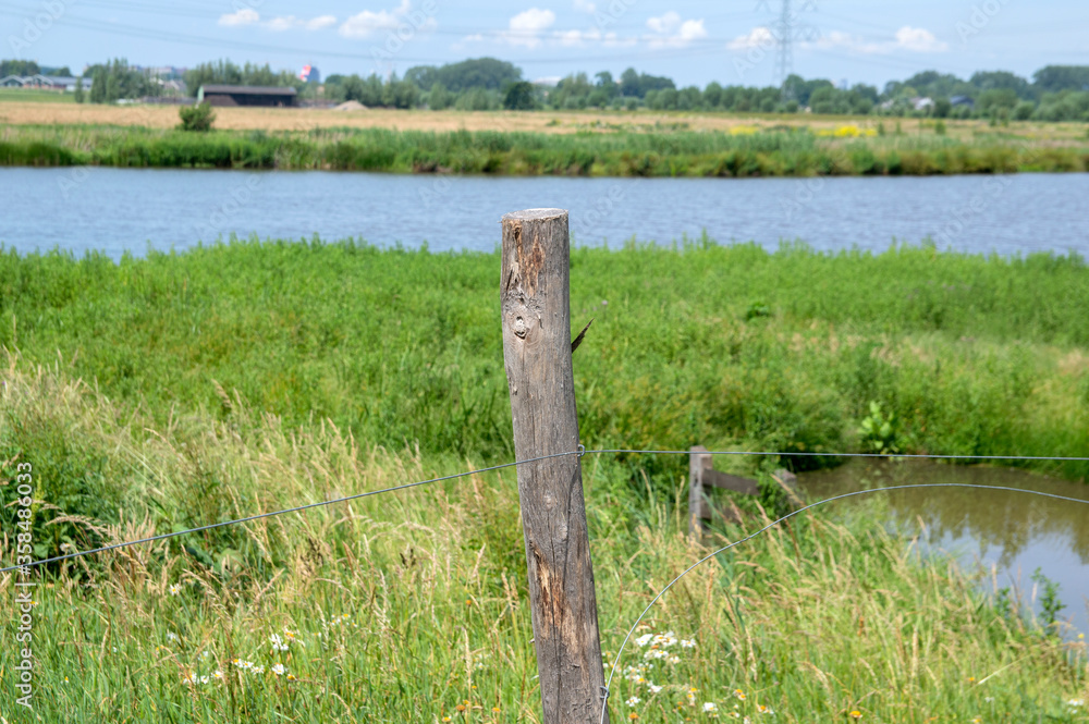 Close Up A Fence At A Farmland Around Abcoude The Netherlands 17 June 2020