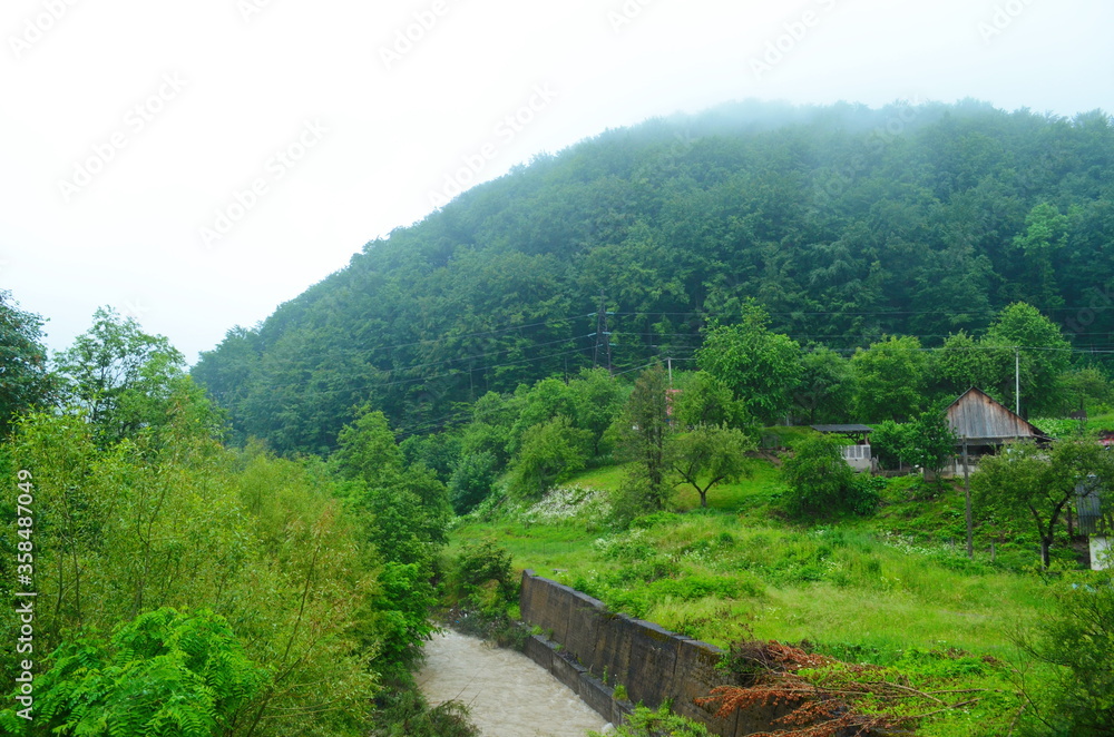 Dirty river current after rain. Mudslide concept. River flow with dirty water after heawy rain.