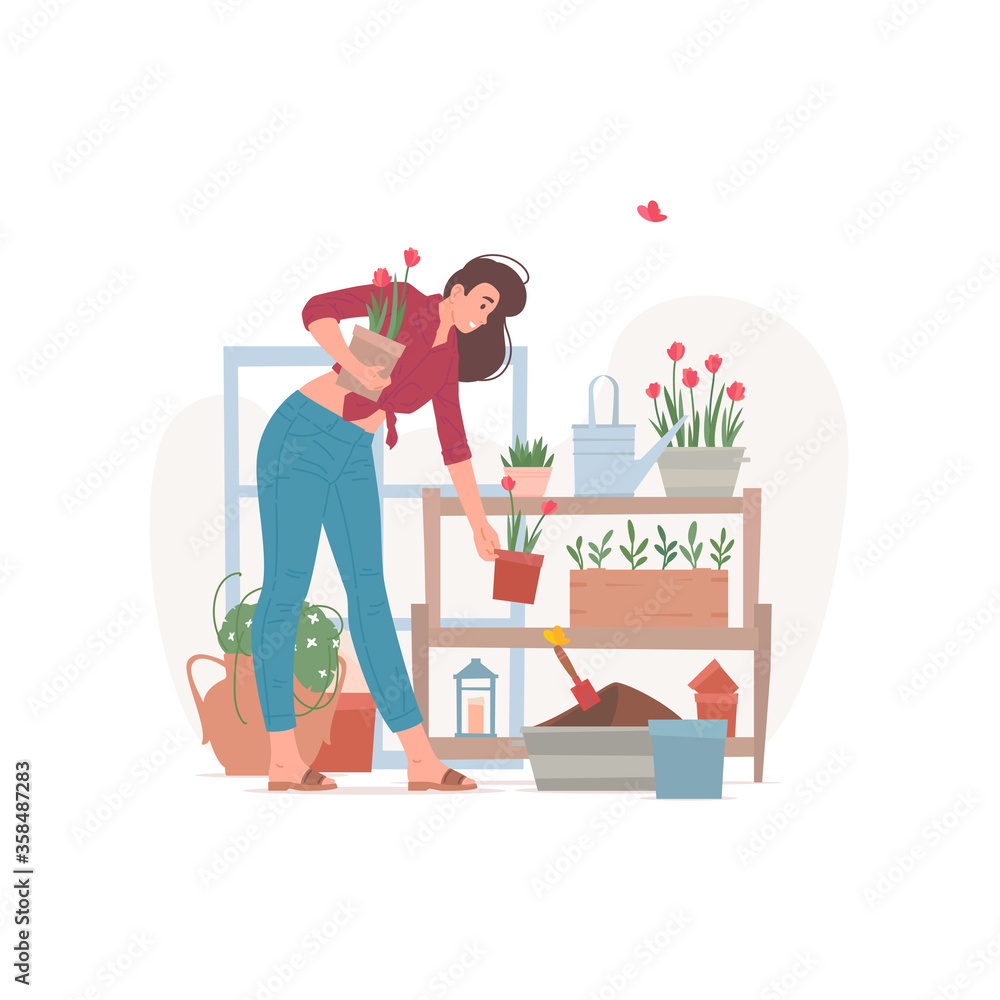 Female florist arranging potted flowers on shelf vector illustration Female florist arranging potted flowers on shelf vector illustration