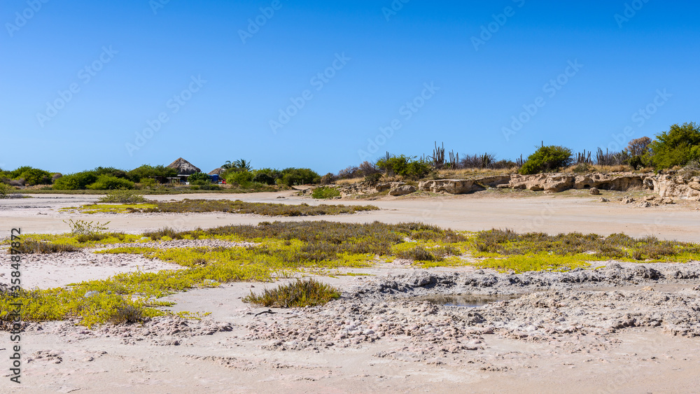 It's Beautiful nature of the Isla Margarita, Venezuela It's Beautiful nature of the Isla Margarita, Venezuela