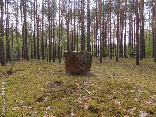 large square boulder in the middle of the meadow in the forest