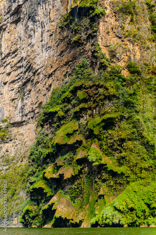 Rock formations similar to a fair tree, Sumidero Canyon National Park, Chipas, Mexico. Rock formations similar to a fair tree, Sumidero Canyon National Park, Chipas, Mexico.