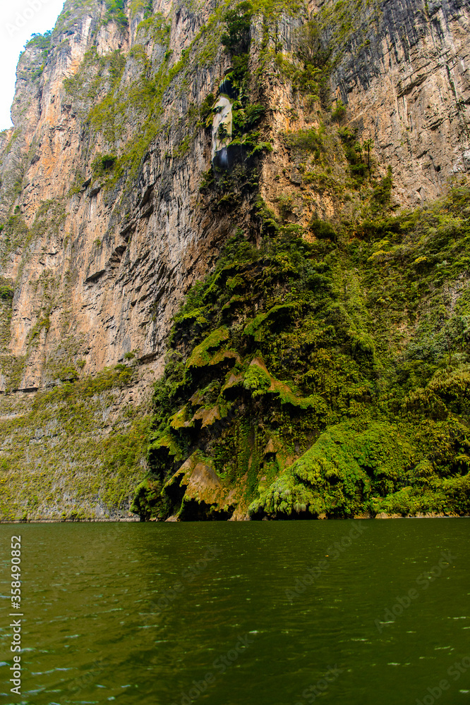 Rock formations similar to a fair tree, Sumidero Canyon National Park, Chipas, Mexico. Rock formations similar to a fair tree, Sumidero Canyon National Park, Chipas, Mexico.