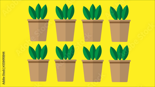Illustration of flat design ofbpotted with plants inside. Graphic  design