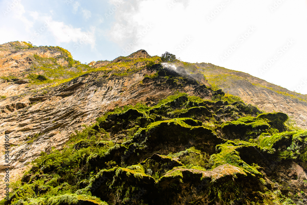 Rock formations similar to  a fair tree, Sumidero Canyon National Park, Chipas, Mexico.