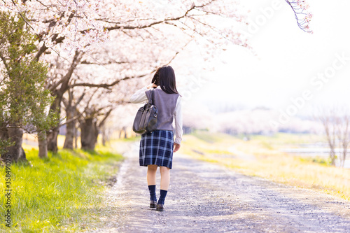 Obraz na płótnie 女子学生、桜並木を歩く w salonie