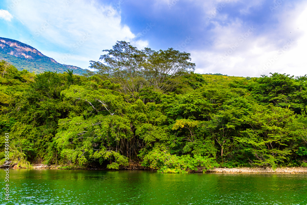 Beautiful nature of Sumidero Canyon National Park, Chipas, Mexico. Beautiful nature of Sumidero Canyon National Park, Chipas, Mexico.