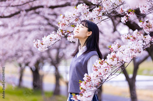 Obraz na płótnie 女子学生と桜 w salonie
