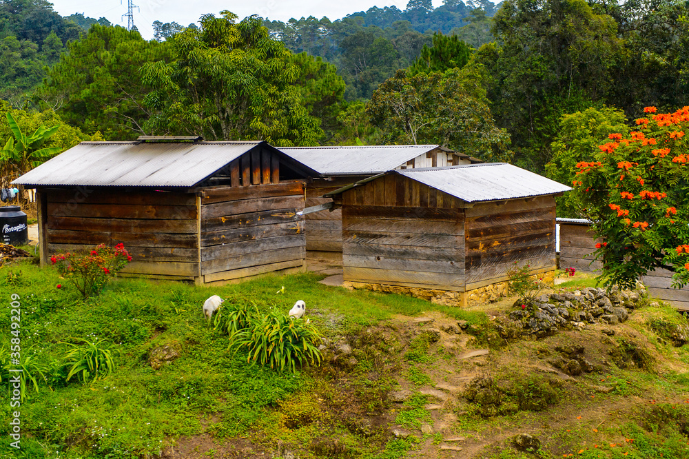 House in a One of the maya villages in Chiapas state of Mexico. House in a One of the maya villages in Chiapas state of Mexico.